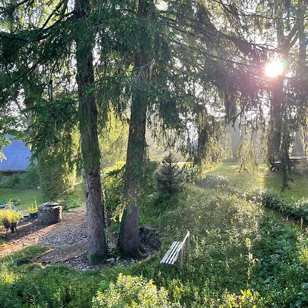 Liebevoll Eingerichtetes Ferienhaus Mit Grossem Garten Clausthal-Zellerfeld Exteriör bild