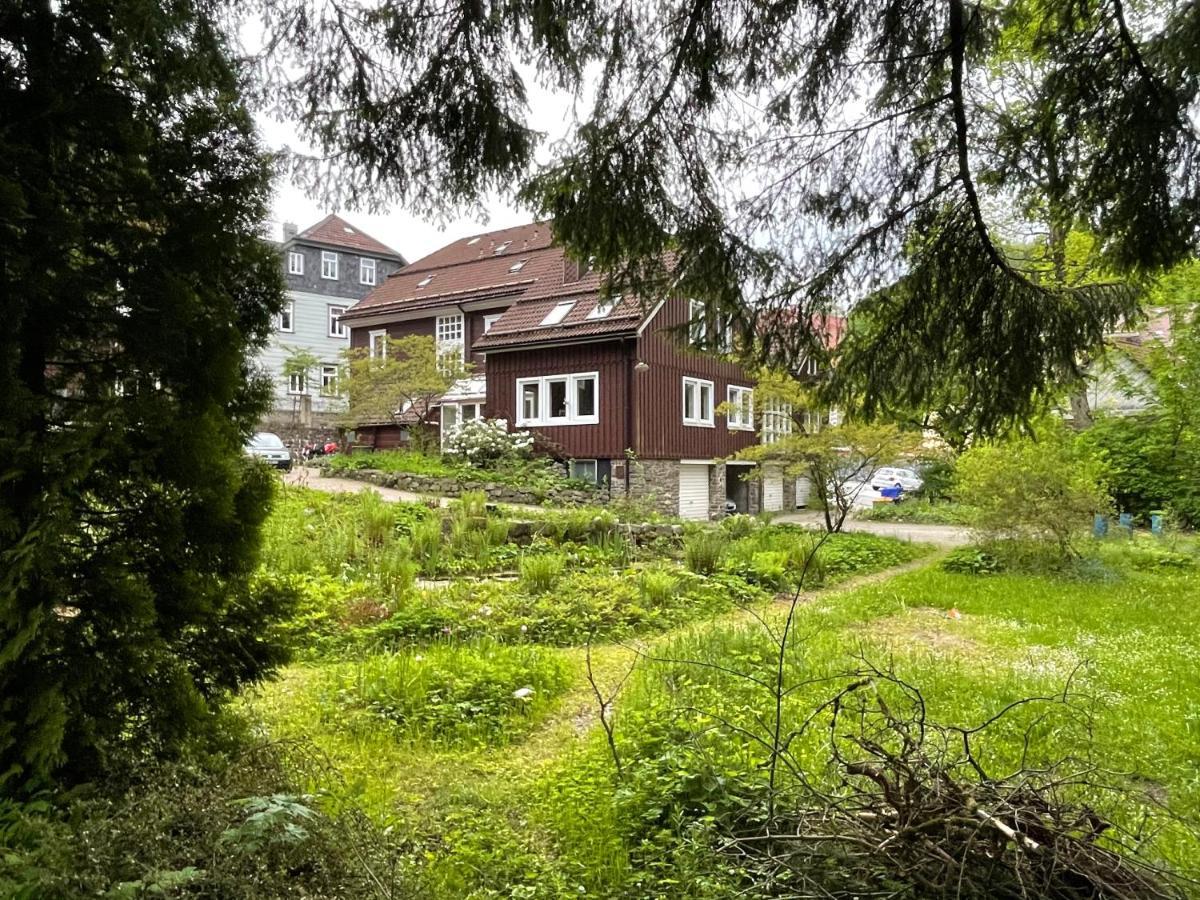Liebevoll Eingerichtetes Ferienhaus Mit Grossem Garten Clausthal-Zellerfeld Exteriör bild