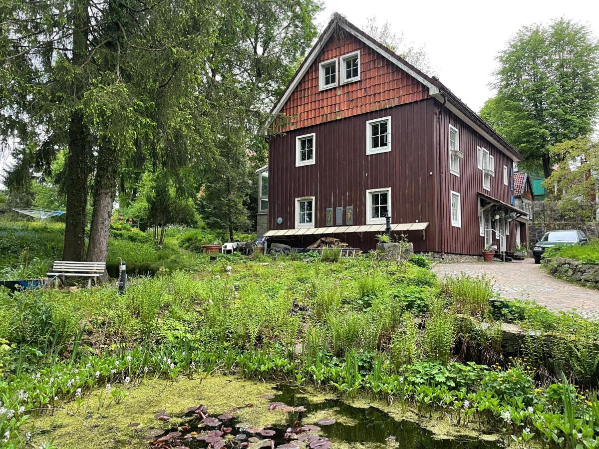 Liebevoll Eingerichtetes Ferienhaus Mit Grossem Garten Clausthal-Zellerfeld Exteriör bild