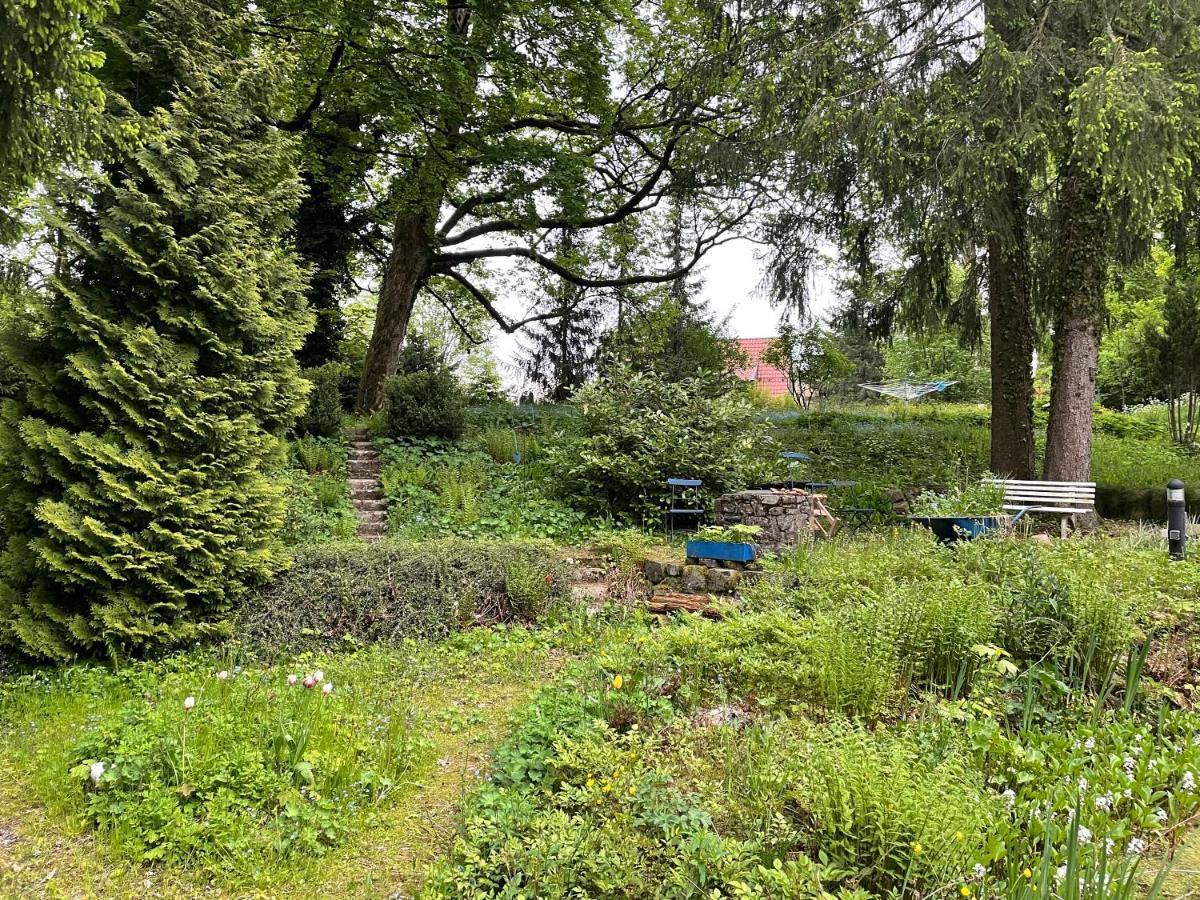 Liebevoll Eingerichtetes Ferienhaus Mit Grossem Garten Clausthal-Zellerfeld Exteriör bild