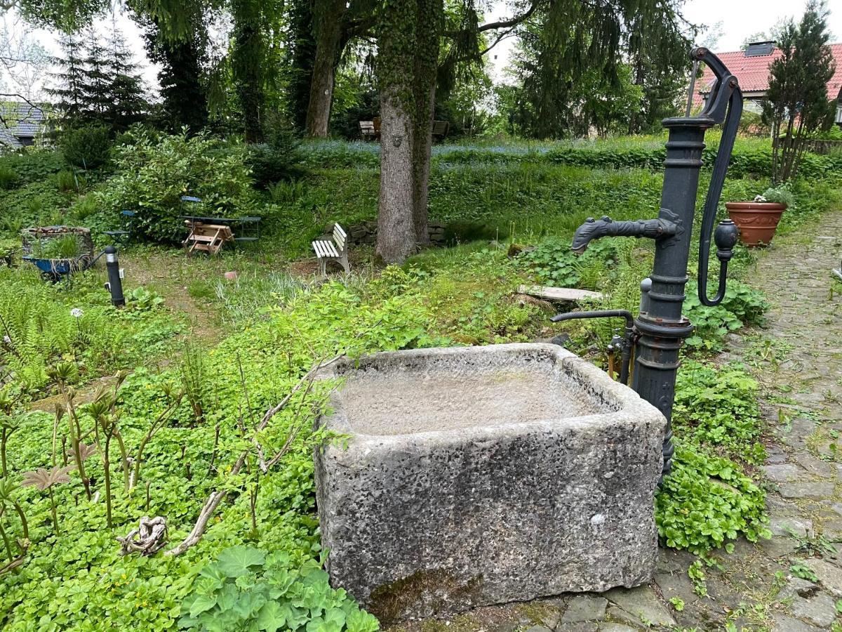 Liebevoll Eingerichtetes Ferienhaus Mit Grossem Garten Clausthal-Zellerfeld Exteriör bild