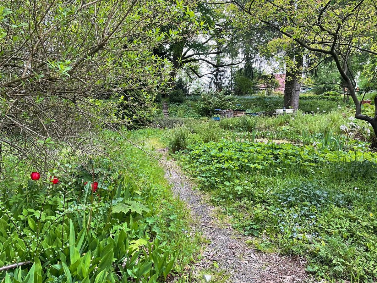 Liebevoll Eingerichtetes Ferienhaus Mit Grossem Garten Clausthal-Zellerfeld Exteriör bild