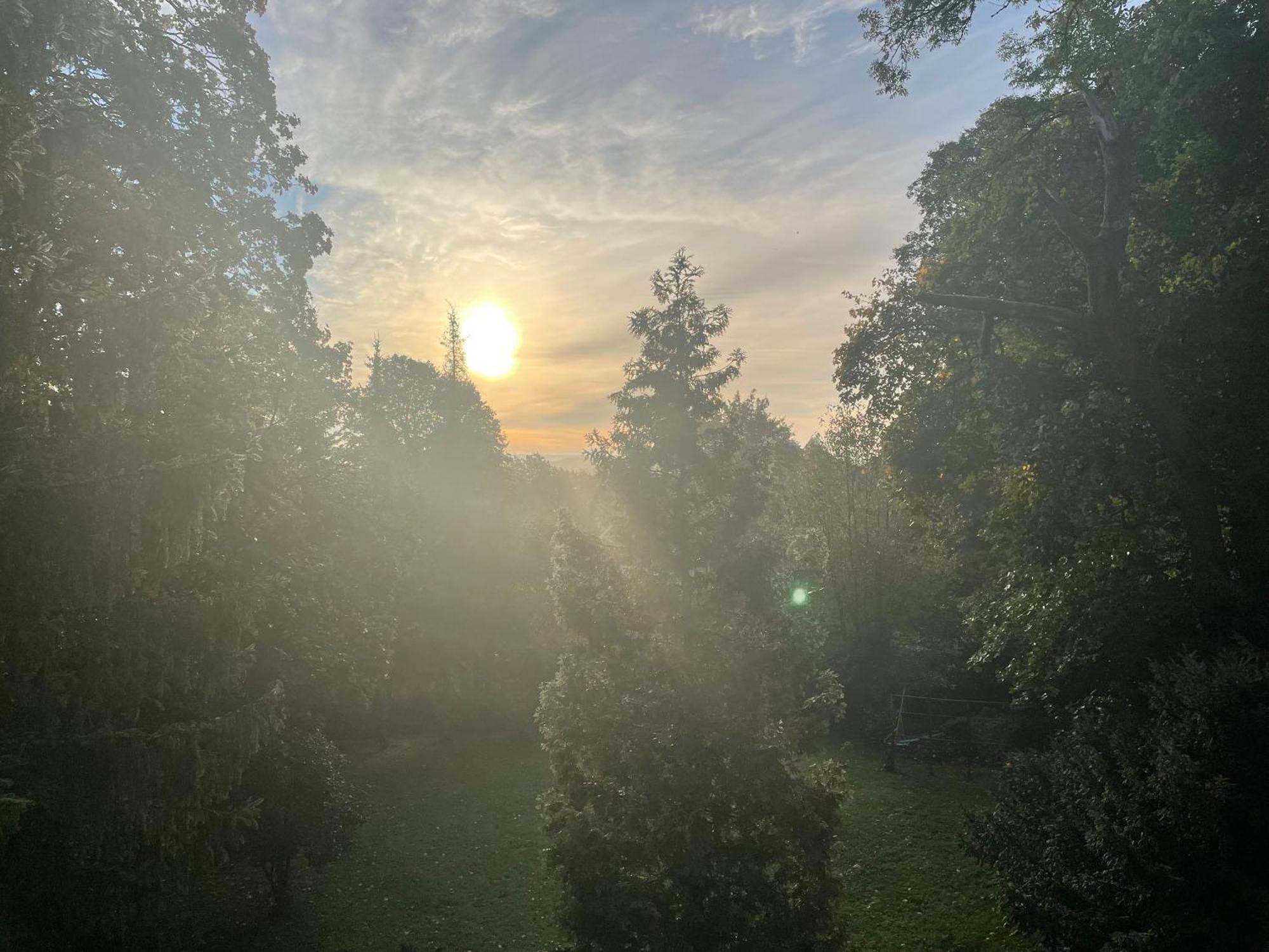 Liebevoll Eingerichtetes Ferienhaus Mit Grossem Garten Clausthal-Zellerfeld Exteriör bild